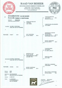 Stamboom Torro v. Rusticana, jugendweltsieger 2012, Campionata dell’ Anno 2012, Def. Noors Kampioen 2013. HD Vrij, Spondylose vrij en hart 0 