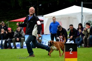 Xaviera v. Rusticana, Jahrejugendsiegerin Düsseldorf en Denemarken 2013