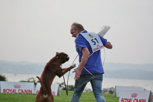 Torro v. Rusticana Campionato dell’ Anno 2012, 1 brok adrenaline. Ontlading! 